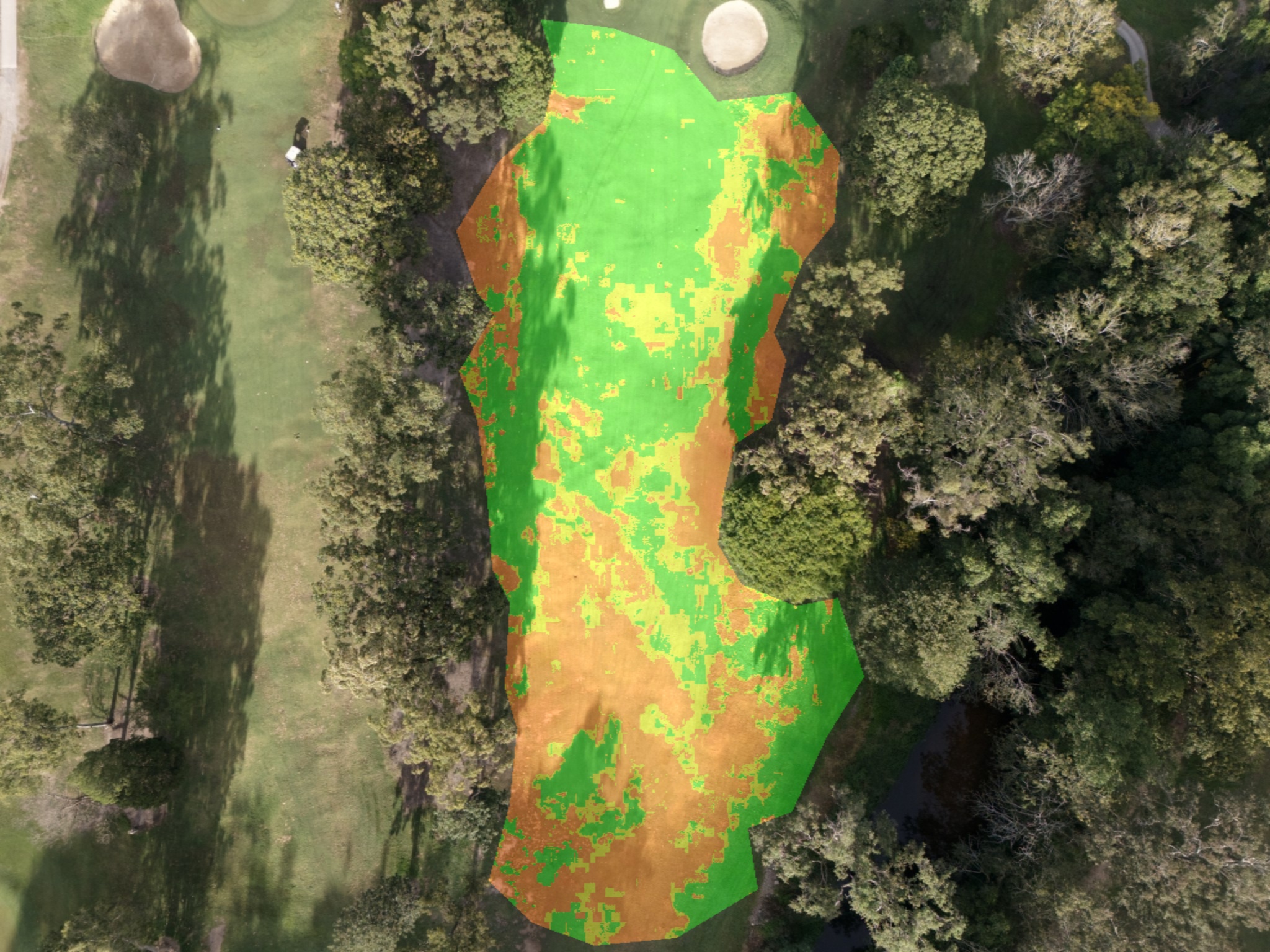 Health analysis overlay of the fairway