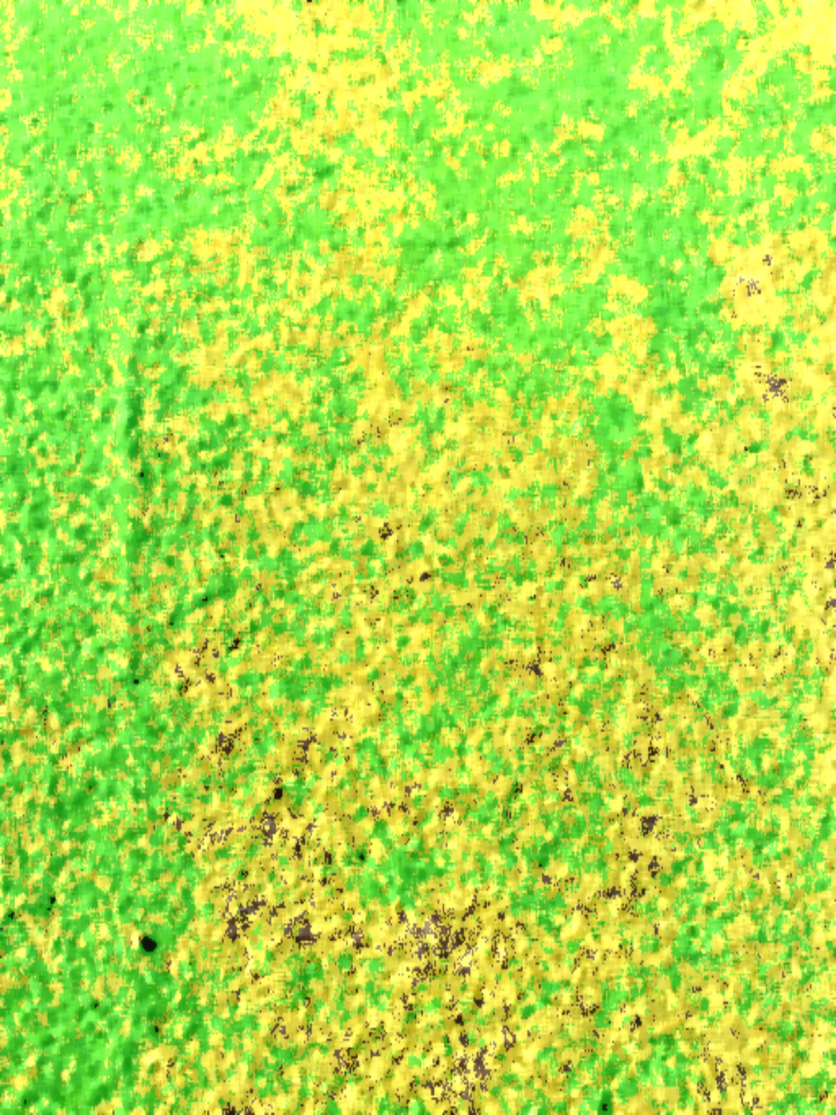 Health analysis overlay of the fairway close-up