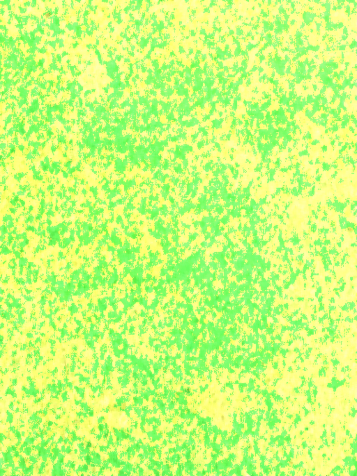 Health analysis overlay of the green close-up