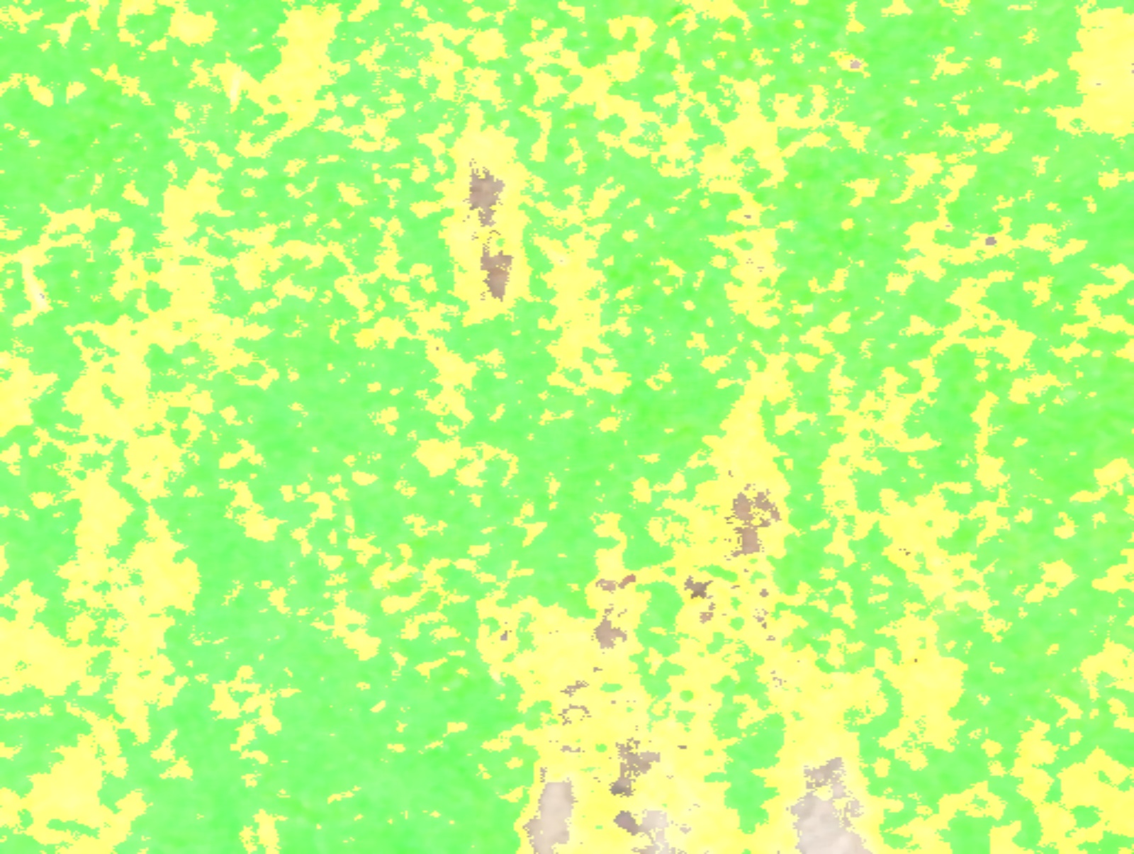 Health analysis overlay of the tee box close-up