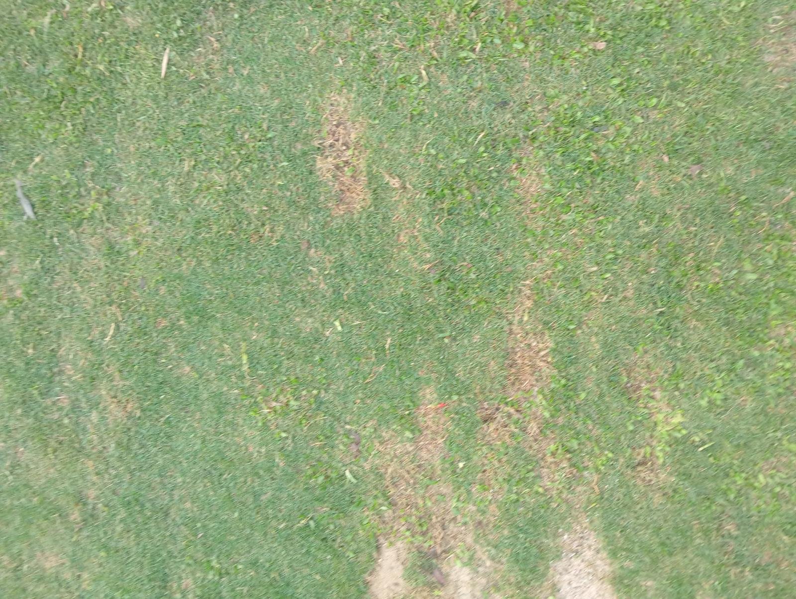 Close-up phone photo of a tee box