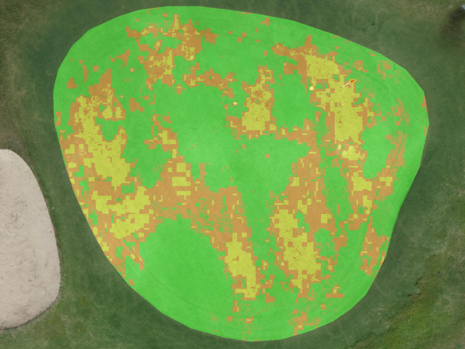 Grass Buddy health analysis overlay of the same green